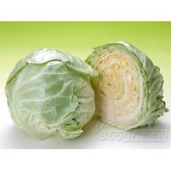 廣東糖類產品與蔬菜的批發、供應及廠家資源整合