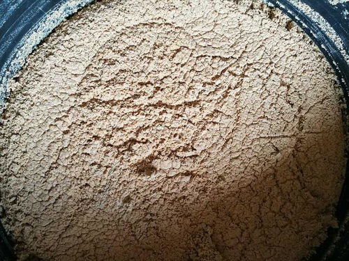 正宇多多黑水虻發(fā)酵蟲(chóng)漿 內(nèi)陸水產(chǎn)養(yǎng)殖的綠色革命，魚(yú)蝦健康新“食”代